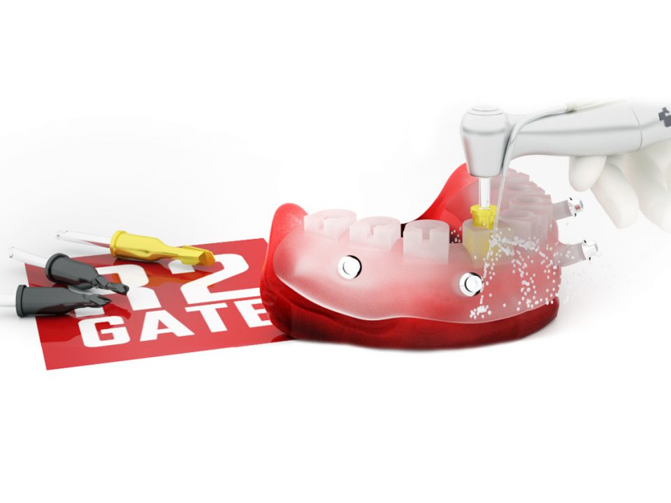 R2GATE workflow - MegaGen