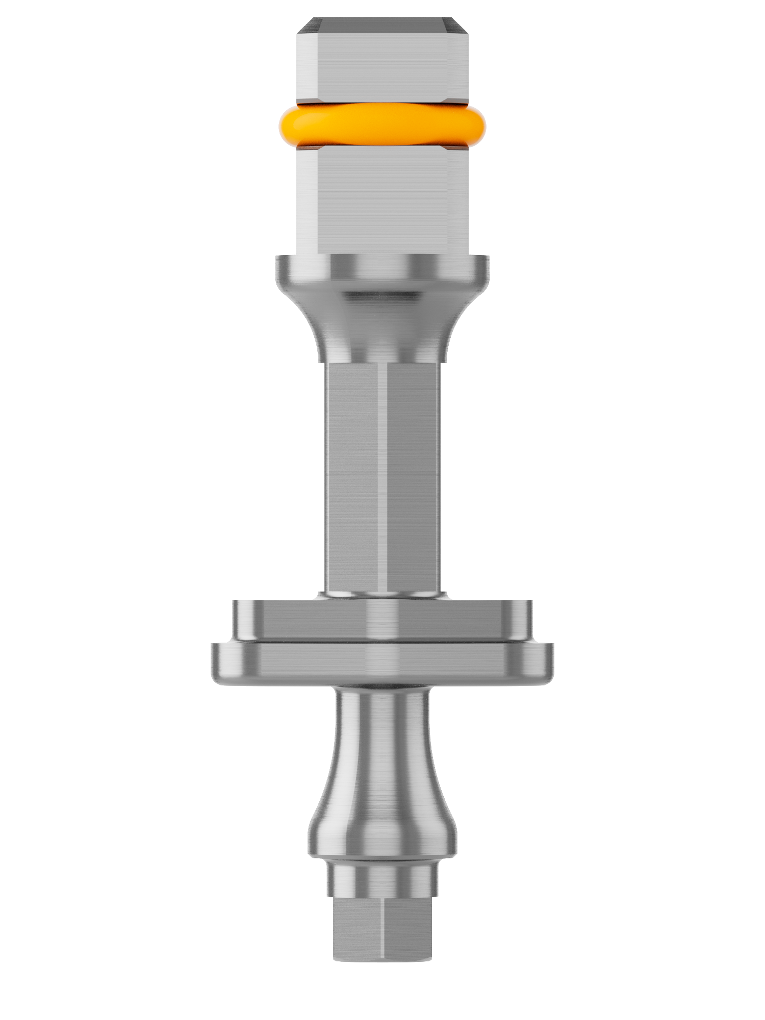 zblc zero bone loss concepts